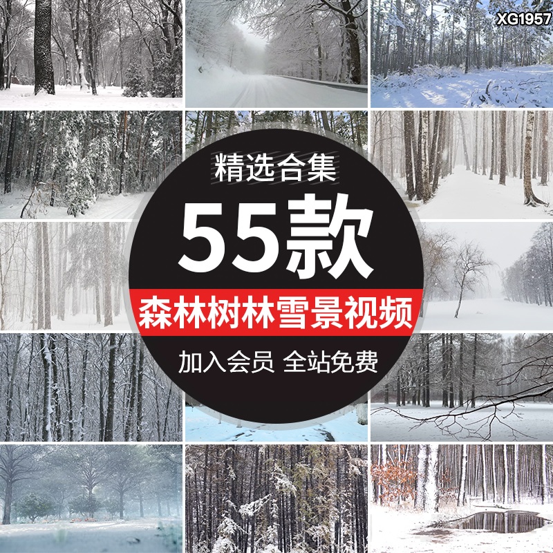 冬季森林雪中树林雪景雾凇大雪下雪花飘落积雪冬天实拍短视频素材-向上进化