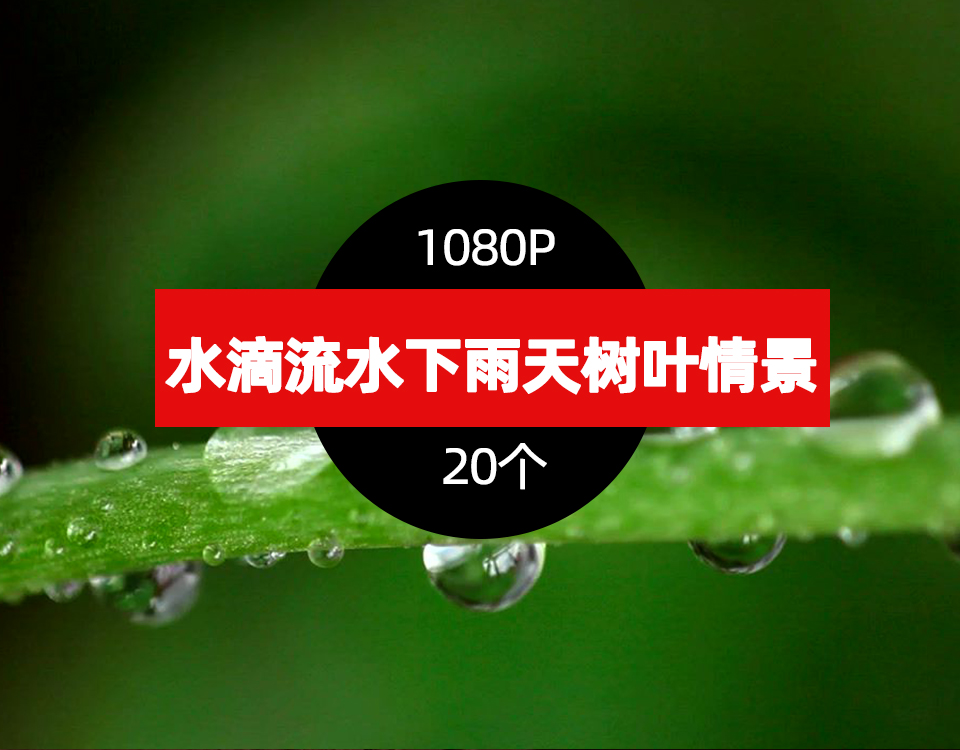 水滴流水下雨天树叶情景视频素材-向上进化